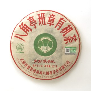 Ban Zhang 2020