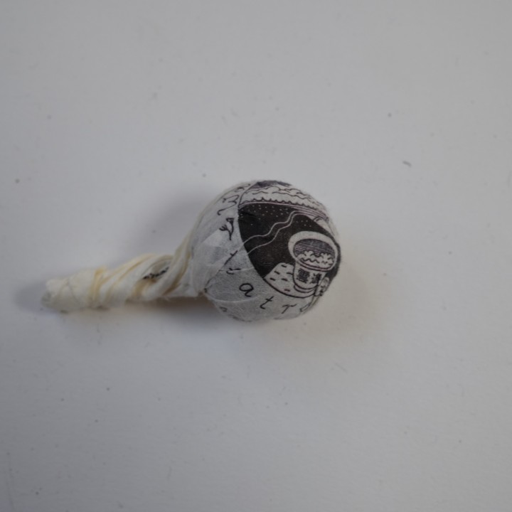 Zhang Jia Wan 张家湾  - 2025 - Sheng Pu'er