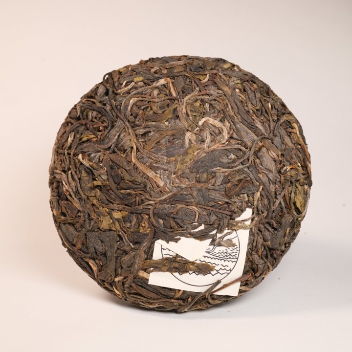 Beng Long 蚌龙 2022