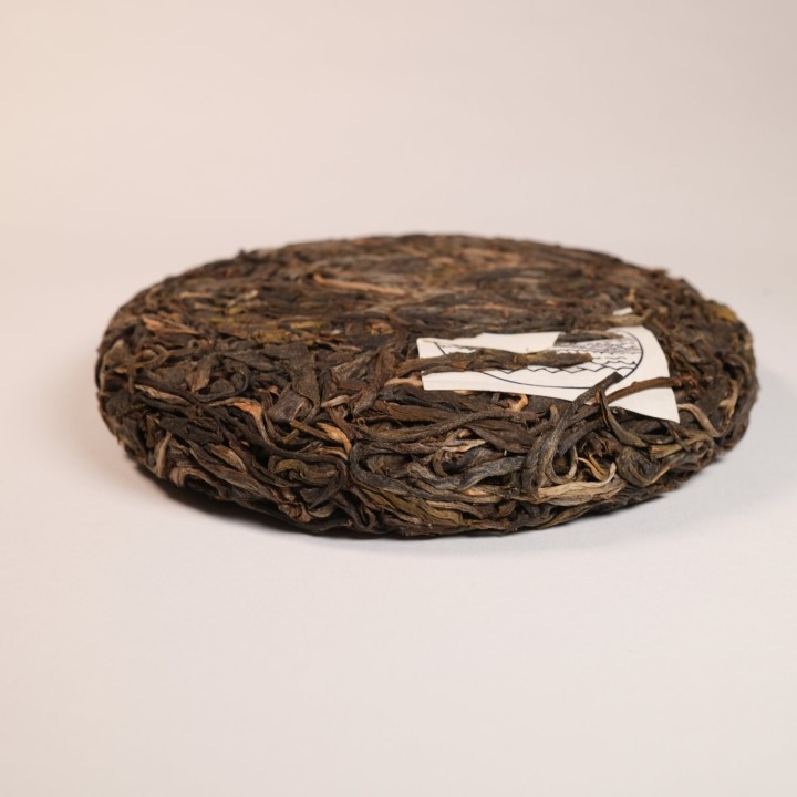 Beng Long 蚌龙 2022