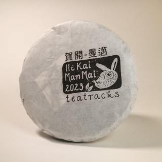 He Kai  贺开 - Sheng Pu'er 2023