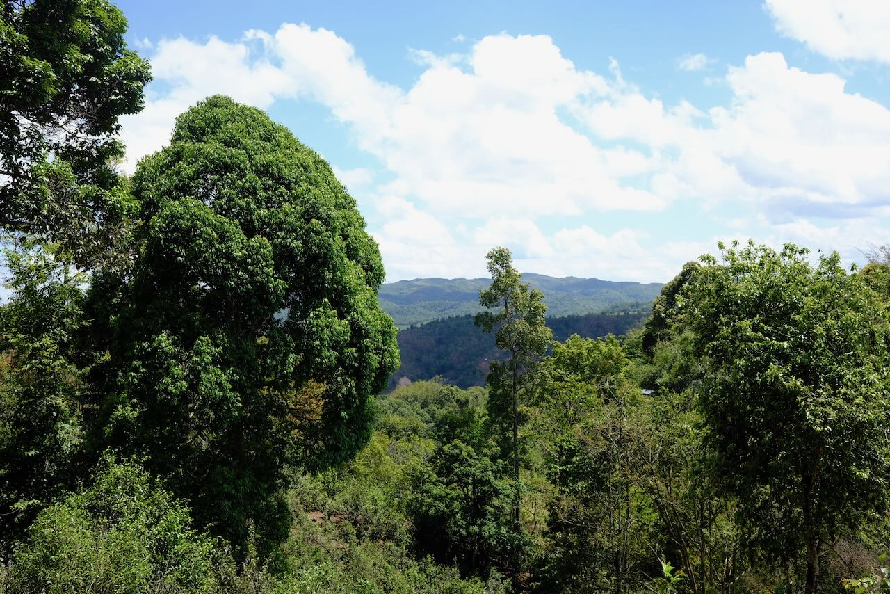 Blick in die Umgebung (Ban Zhang)