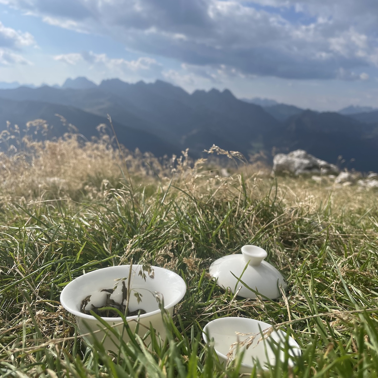 Tea ware in front of mountains